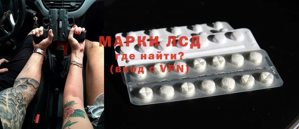прущие грибы Дедовск