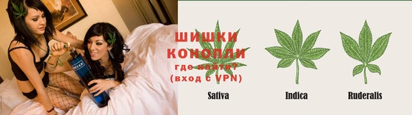 прущие грибы Дедовск