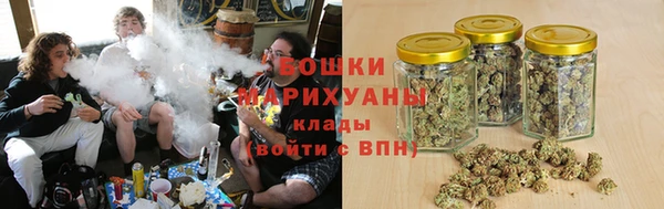 трава Дегтярск