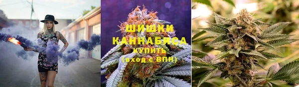 прущие грибы Дедовск