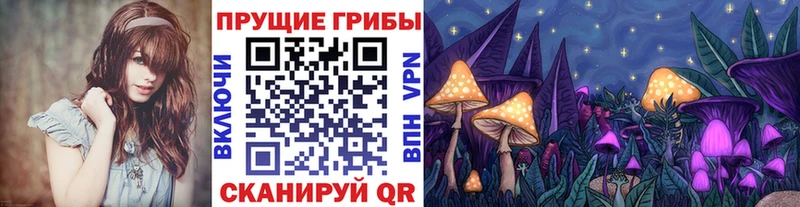 Галлюциногенные грибы прущие грибы  наркота  Катав-Ивановск 