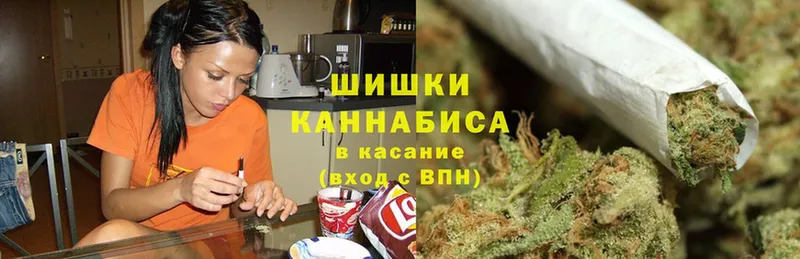 Шишки марихуана OG Kush  Катав-Ивановск 